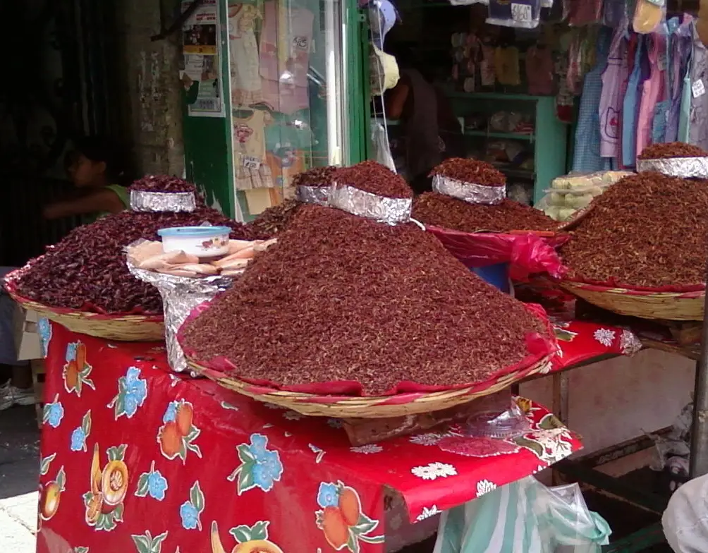 A heaped pile of chapulines, small toasted grasshoppers seasoned with chile and lime, sold in an Oaxacan market