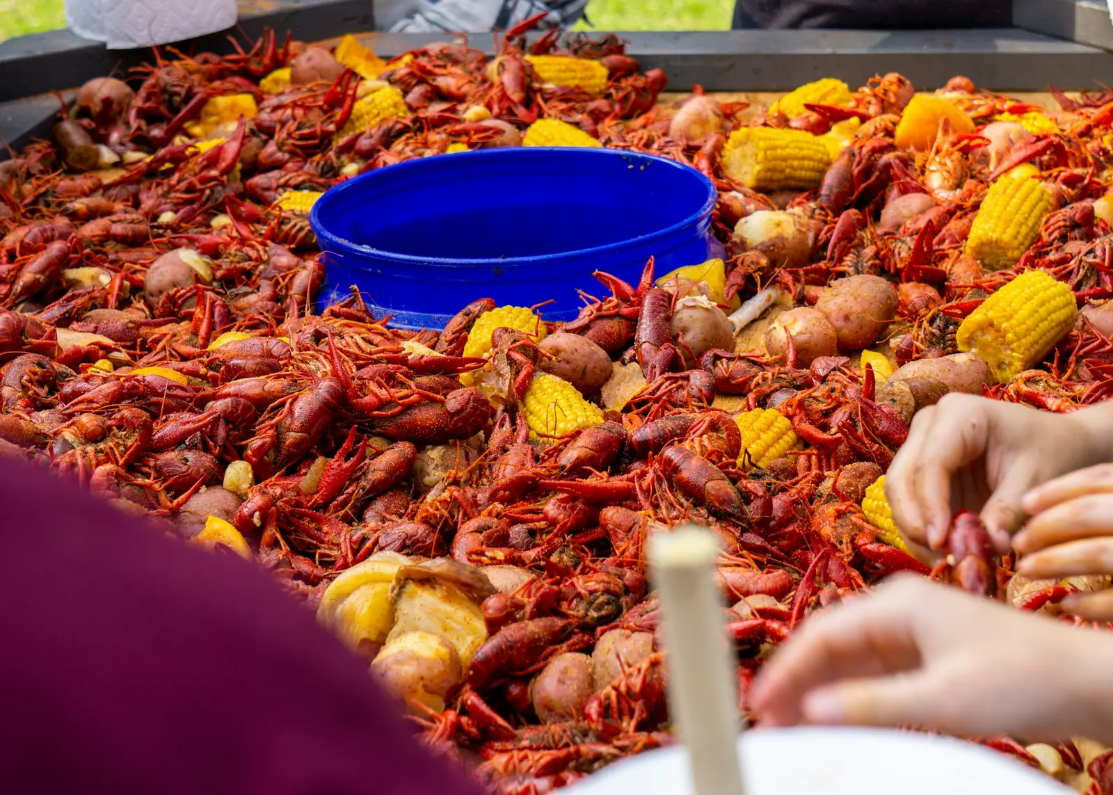 A long tray heaped with boiled crawfish, corn and sausage, with several people's hands reaching in to pick